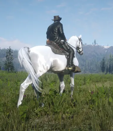 Arabian_White for Always a wet horse.zip