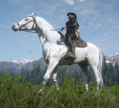 Arabian_White for Always a wet horse.zip