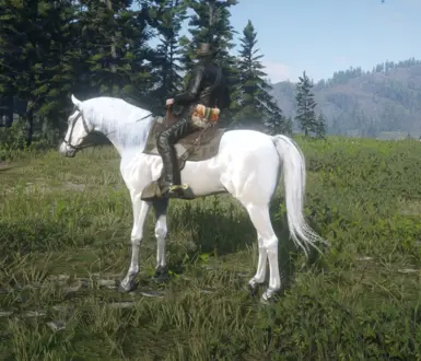 Arabian_White for Always a wet horse.zip