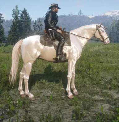 Buell  for Always a wet horse.zip