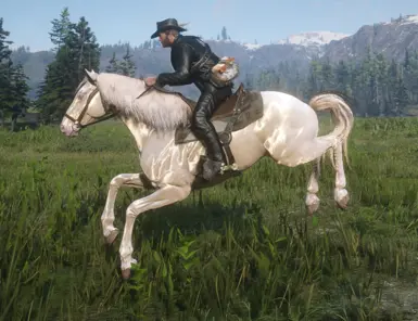 Buell  for Always a wet horse.zip