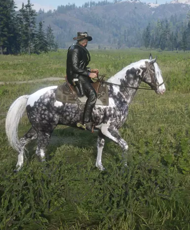 Silverdapplepinto  for Always a wet horse.zip