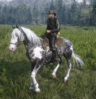 Silverdapplepinto  for Always a wet horse.zip