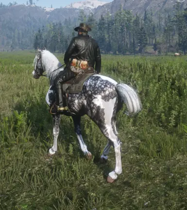 Silverdapplepinto  for Always a wet horse.zip