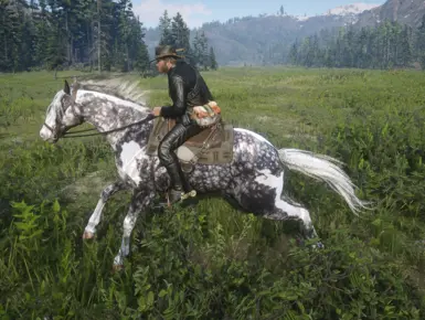 Silverdapplepinto  for Always a wet horse.zip