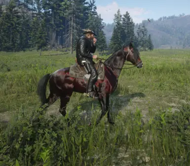 Always a wet horse at Red Dead Redemption 2 Nexus - Mods and community