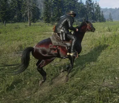 Turkoman_Darkbay for Always a wet horse.zip
