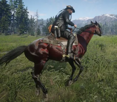 Turkoman_Darkbay for Always a wet horse.zip