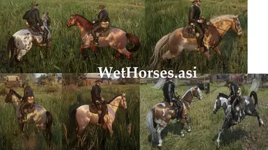 WetHorses.asi