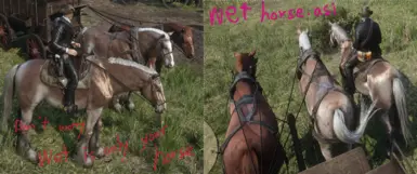WetHorses.asi