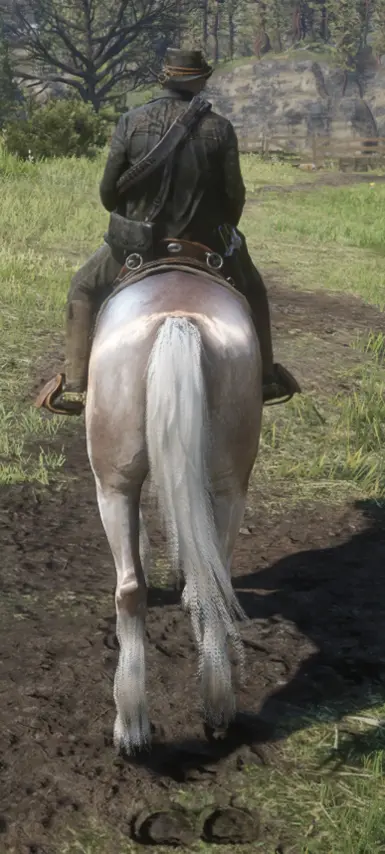 missourifoxtrotter_amberchampagne_mealychestnut(ver)