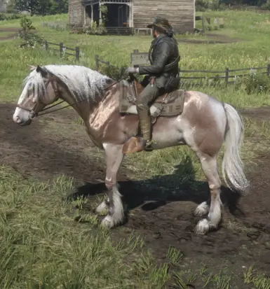 missourifoxtrotter_amberchampagne_mealychestnut(ver)