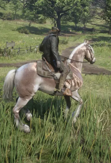missourifoxtrotter_amberchampagne_mealychestnut(ver)
