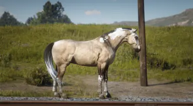 Model Conformation - Spotted Paint Pack - Dunskin