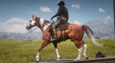 Spotted Paint Pack - Chestnut 