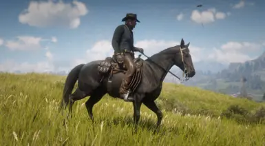 The Updated Tennessee Walking Horse at Red Dead Redemption 2 Nexus ...