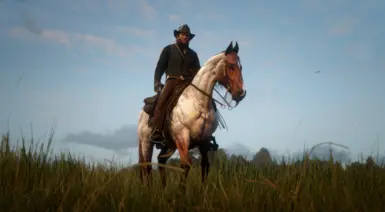 Reworked Vanillas - Red Roan/Flaxen Roan 