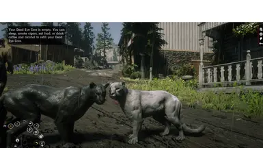 Legendary Black, Special White