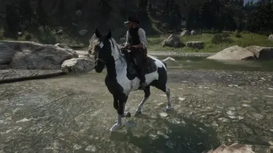 Hungarian Halfbred Piebald Tobiano Glow Up