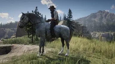 Dapple Gray Andalusian
