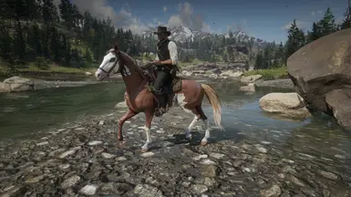 Sorrel Frame Overo Tennessee Walker