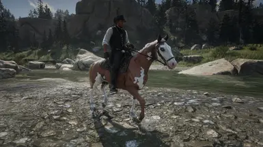 Sorrel Frame Overo Tennessee Walker
