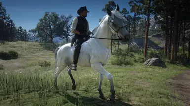 White Arabian Glow Up