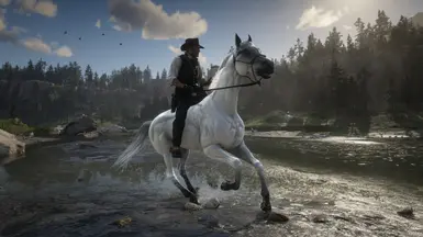 White Arabian Glow Up