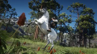 White Arabian Glow Up