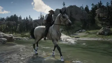 Silver Buckskin Arabian