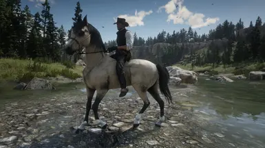 Silver Buckskin Arabian