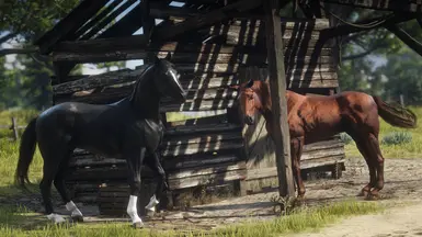 Customs MiniPack - Hanoverian