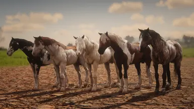 Vanillas Pack - Mustang