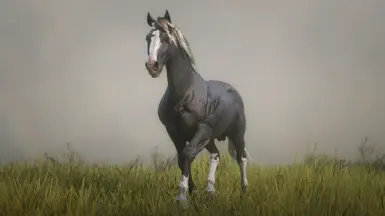 American Standardbred Silver Black Sabino