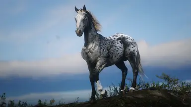 Appaloosa Grey Leopard Blanket