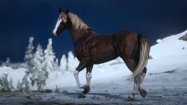 Thoroughbred Flaxen Liver Chestnut Sabino