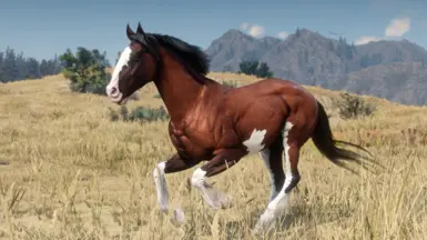 New Mustang Coat Colors at Red Dead Redemption 2 Nexus - Mods and community