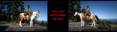 Eagle Flies - Choctaw Horse