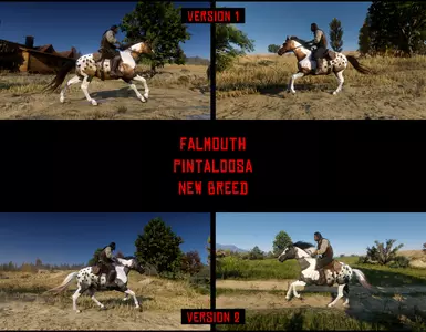 Charles - Falmouth - Pintaloosa