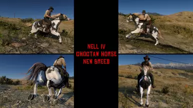 Uncle - Nell IV - Choctaw Horse