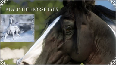 Realistic Horse Eyes