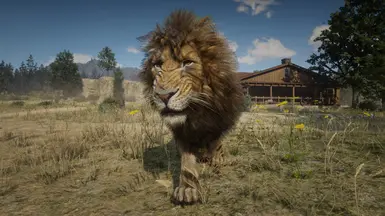 Black Maned Lion Repainted At Red Dead Redemption 2 Nexus - Mods And 