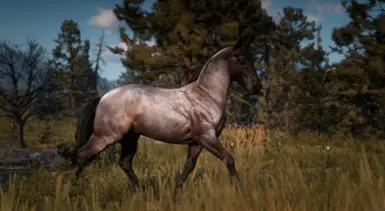 Reworked Originals - Chocolate Bay Roan