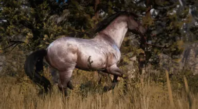 Reworked Originals - Chocolate Bay Roan
