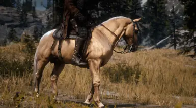 Reworked Originals - Golden Palomino