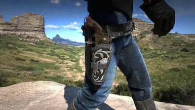 silver Holster
