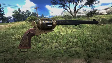 my gun