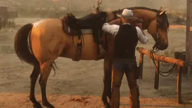 Buckskin Kiger