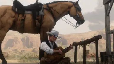 Downtime with the Buckskin