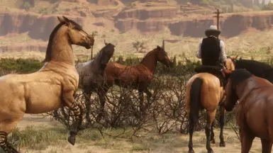 The Herd of Kigers